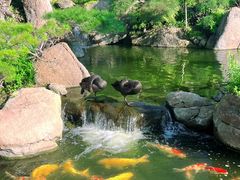 -罗红摄影艺术馆