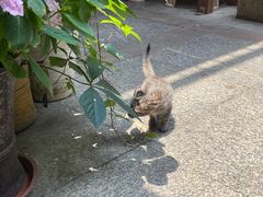 -鱼乐岛餐厅·户外花园主题餐厅