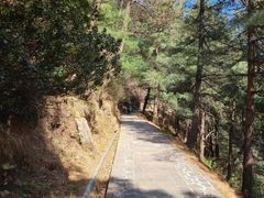 -苍山感通索道