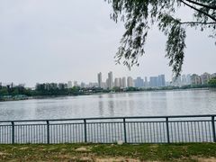 -武汉动物园
