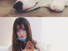 -浣熊柯尔鸭土拨鼠·电玩咖