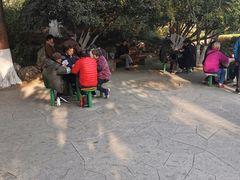 -郑和公园