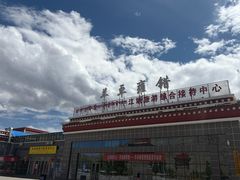 -羊卓雍措