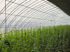 -万源龙顺度假庄园生态观光园