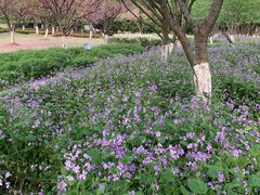 -白塘生态植物园