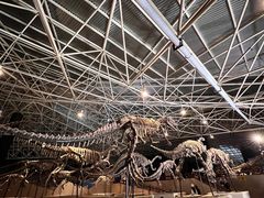 -世界恐龙谷景区