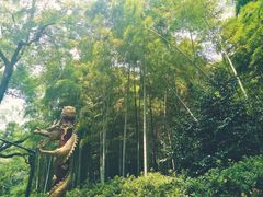-杭州黄龙洞