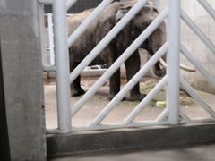 -大青山野生动物园