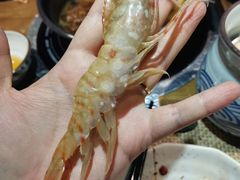 -蟹将军·松叶蟹和牛日料放题自助(K11店)