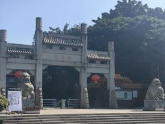 -三水森林公园