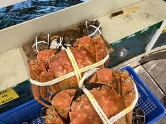 -品鲜村农家菜·阳澄湖大闸蟹(总店)