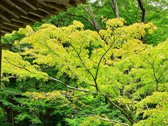 -三千院