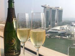 -新加坡丽思卡尔顿美年酒店