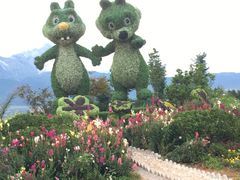 -丽江植物园