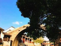 -同里国家湿地公园