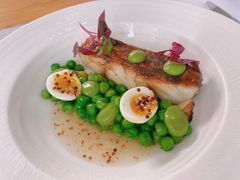 -蝶舍·MAISON PAPILLON