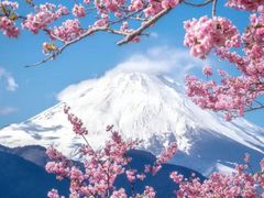 -富士山吉田線五合目