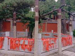 -泰山风景名胜区-普照寺