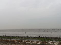 -南汇新城海滩