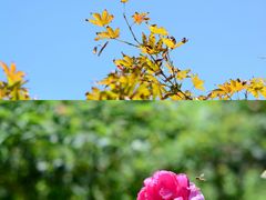 -宜兴龙背山森林公园