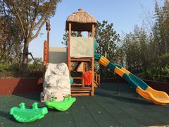 -上海崇明金茂凯悦酒店