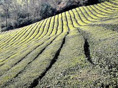 -敬亭山风景名胜区