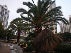 -苏州河梦清园环保主题公园