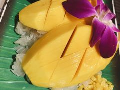 -Jungle Kitchen