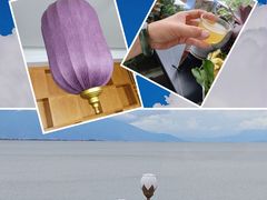 -野菌皇海景野生菌火锅(滨海大道店)