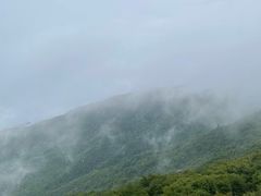 -大围山国家森林公园