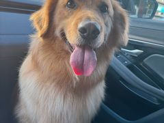 -它主义宠物(梁溪万达店)