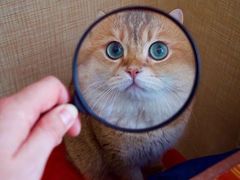 -杨记清芳牛肉拉面(宝龙广场店)