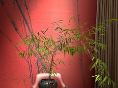 -蘇锦宴·淮扬菜烤鸭·小院(三元桥霄云路店)