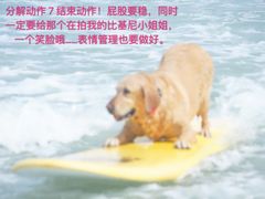-盘古掌冲浪俱乐部(日月湾店)
