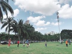 -万绿园