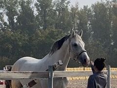 -意大利农场度假村