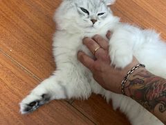 -海门爱心宠物医院