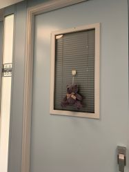 -杭州贝瑞斯美华妇儿医院·早孕·产检·儿科