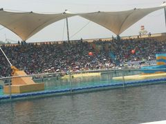 -秦皇岛乐岛海洋王国