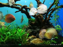 -多彩贵州城极地海洋世界