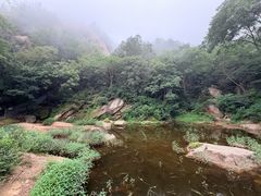 -六里坪国家森林公园