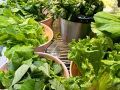 -长平老姿娘夜粥(平东一街店)