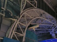 -烟台海昌鲸鲨海洋公园