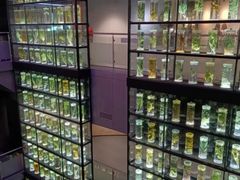 -广东中医药博物馆