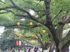 -江心屿景区