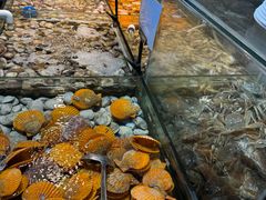 -领鲜活海鲜榴莲自助火锅(东门店)