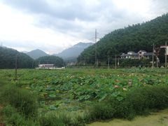 -江南天池