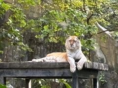 -广州长隆野生动物世界