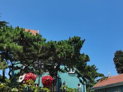 -八大关景区