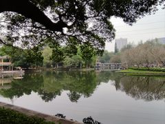 -晓港公园
